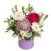 Aranjament floral “Violet” cu crizantemă și bouvardia